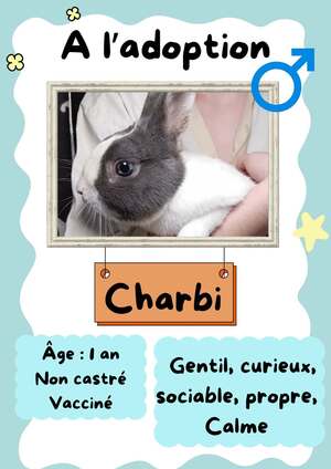 Adopter Charbi
