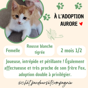 Adopter Aurore