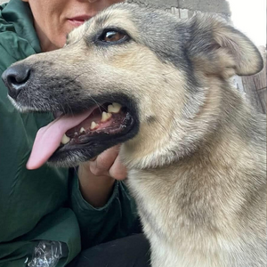 Adopter Nelly