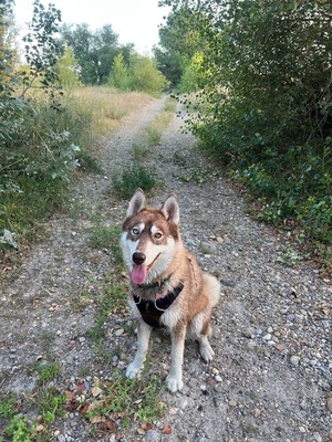 Adopter Aïka
