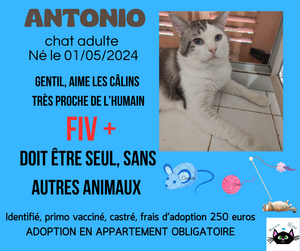 Adopter Antonio