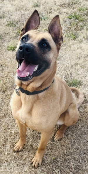 Adopter Mabrouka