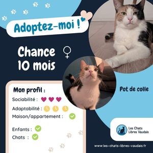 Adopter Chance