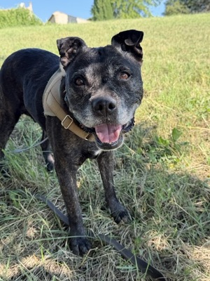 Adopter Tanya