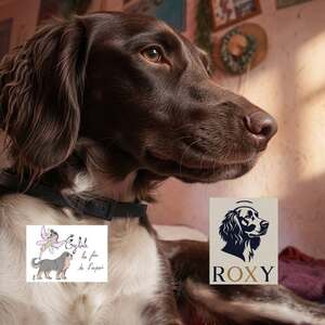 Adopter Roxy