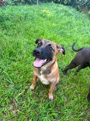Adopter Soleya
