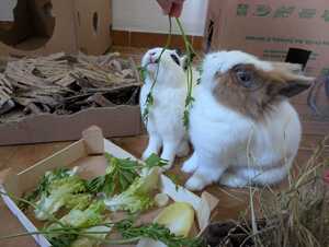 Adopter Liliane et José