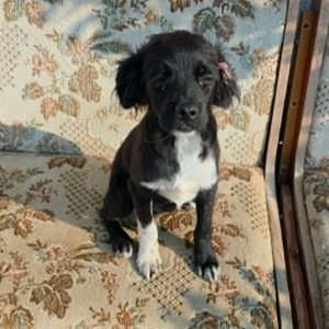 Adopter LOTTO