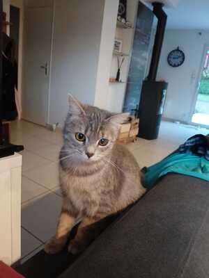 Adopter Anaïs