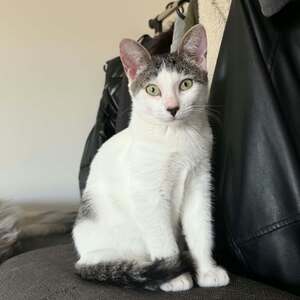 Adopter Bonnie