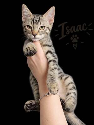 Adopter Isaac