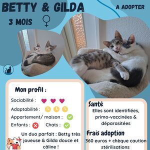 Adopter Betty