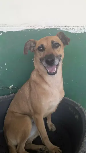 Adopter Leonie