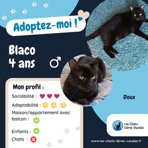 Adopter Blaco