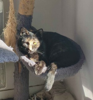 Adopter Hilda 