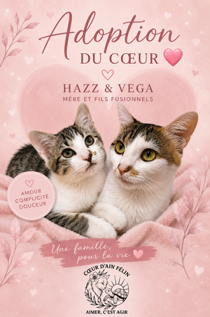 Adopter Duo Vega Hazz