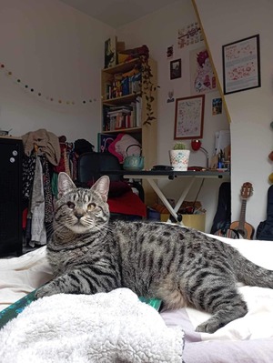 Adopter Bonnie 
