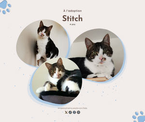 Adopter Stitch