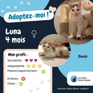Adopter Luna