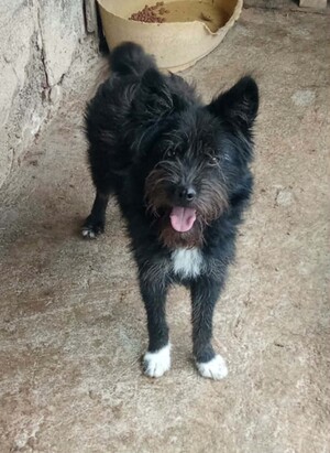 Adopter Rita