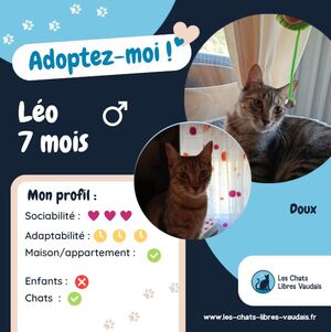 Adopter Léo