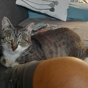 Adopter Bernard