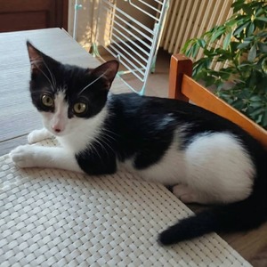 Adopter BELLA°