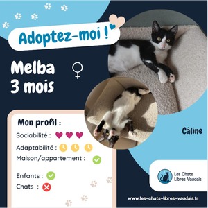 Adopter Melba