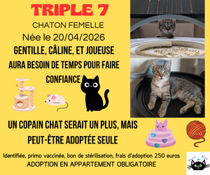 Adopter Triple 7