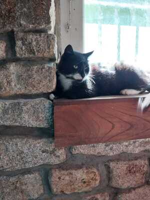 Adopter TITOUAN 