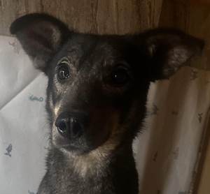 Adopter Aïna