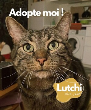 Adopter Lutchi