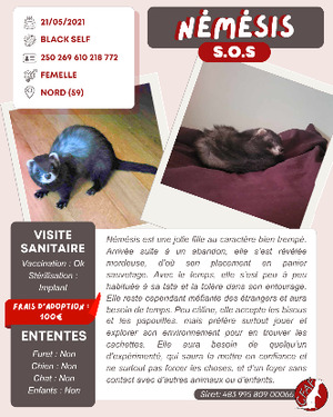 Adopter Némésis