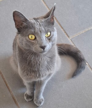 Adopter BUTANE