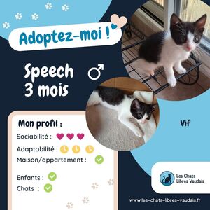 Adopter Speech