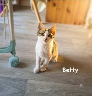 Adopter BETTY