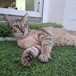 Adopter Tina