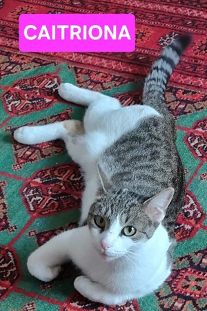 Adopter Caitriona 