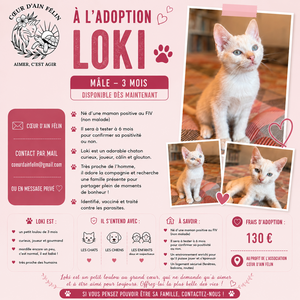 Adopter Loki