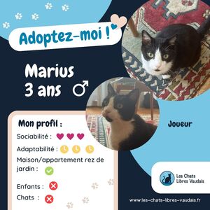 Adopter Marius