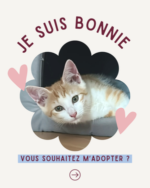 Adopter Bonnie