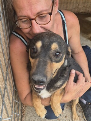 Adopter Elio