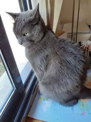 Adopter Chagall