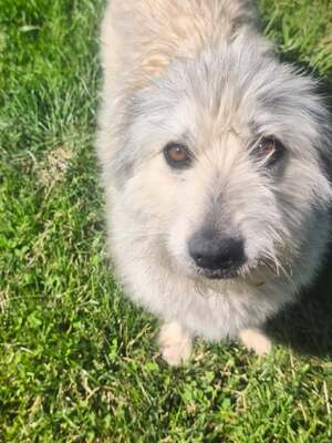 Adopter kiki