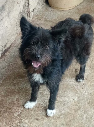 Adopter Rita