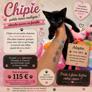Adopter CHIPIE