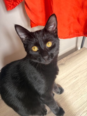 Adopter Winnie