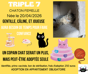 Adopter Triple 7