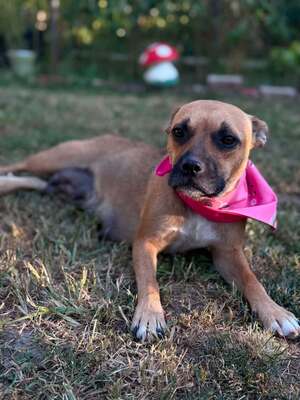 Adopter Madeleine
