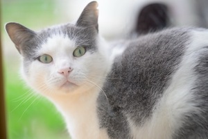 Adopter Nuage